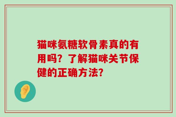 猫咪氨糖软骨素真的有用吗?了解猫咪关节保健的正确方法?-第1张图片-氨糖科普网 猫咪氨糖软骨素真的有用吗?了解猫咪关节保健的正确方法?-第1张图片-氨糖科普网