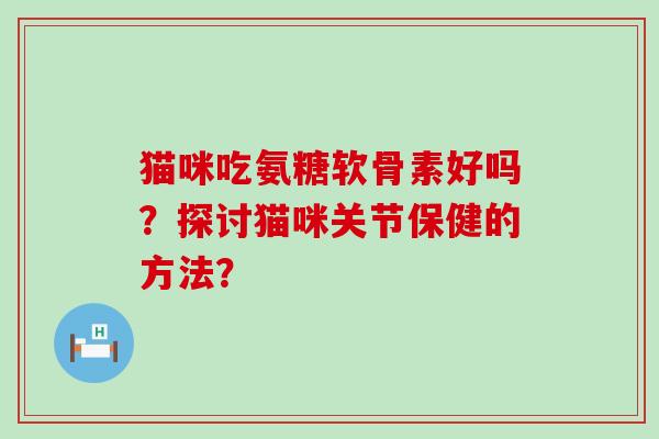 猫咪吃氨糖软骨素好吗?探讨猫咪关节保健的方法?-第1张图片-氨糖科普网 猫咪吃氨糖软骨素好吗?探讨猫咪关节保健的方法?-第1张图片-氨糖科普网