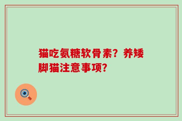猫吃氨糖软骨素?养矮脚猫注意事项?-第1张图片-氨糖科普网 猫吃氨糖软骨素?养矮脚猫注意事项?-第1张图片-氨糖科普网