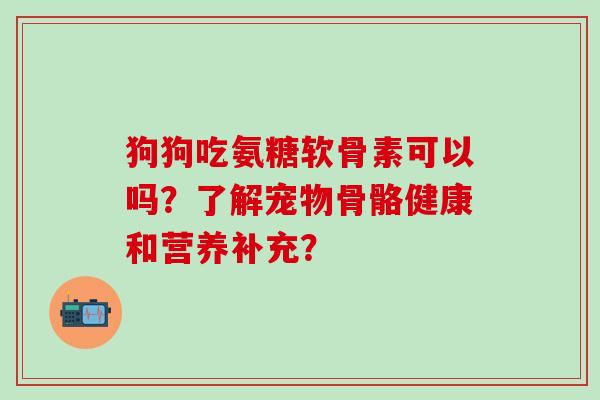 狗狗吃氨糖软骨素可以吗？了解宠物骨骼健康和营养补充？-第1张图片-氨糖科普网