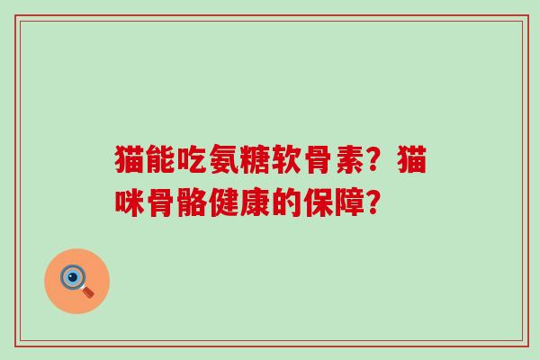 猫能吃氨糖软骨素?猫咪骨骼健康的保障?-第1张图片-氨糖科普网 猫能吃氨糖软骨素?猫咪骨骼健康的保障?-第1张图片-氨糖科普网