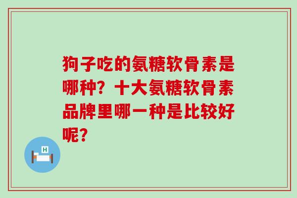 狗子吃的氨糖软骨素是哪种?十大氨糖软骨素品牌里哪一种是比较好呢?-第1张图片-氨糖科普网 狗子吃的氨糖软骨素是哪种?十大氨糖软骨素品牌里哪一种是比较好呢?-第1张图片-氨糖科普网
