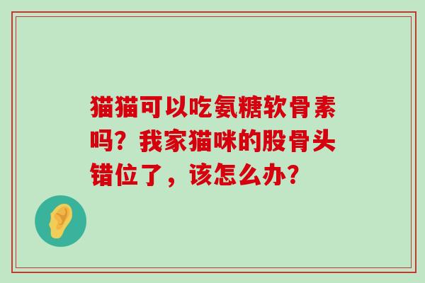 猫猫可以吃氨糖软骨素吗?我家猫咪的股骨头错位了,该怎么办?-第1张图片-氨糖科普网 猫猫可以吃氨糖软骨素吗?我家猫咪的股骨头错位了,该怎么办?-第1张图片-氨糖科普网