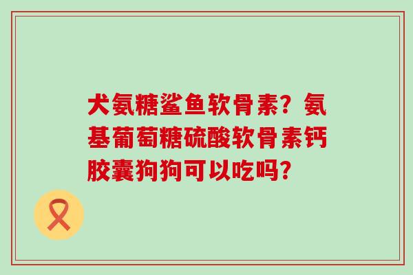 犬氨糖鲨鱼软骨素?氨基葡萄糖硫酸软骨素钙胶囊狗狗可以吃吗?-第1张图片-氨糖科普网 犬氨糖鲨鱼软骨素?氨基葡萄糖硫酸软骨素钙胶囊狗狗可以吃吗?-第1张图片-氨糖科普网