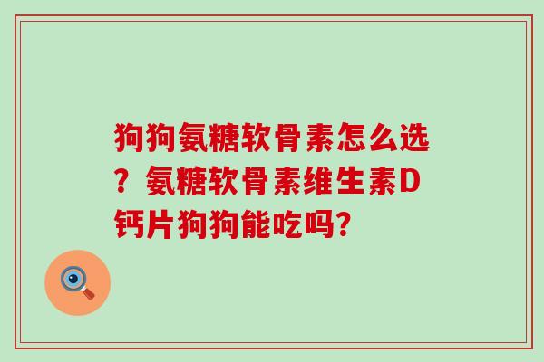 狗狗氨糖软骨素怎么选？氨糖软骨素维生素D钙片狗狗能吃吗？-第1张图片-氨糖科普网