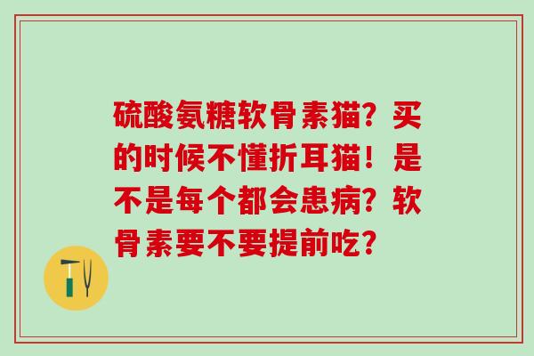 硫酸氨糖软骨素猫?买的时候不懂折耳猫!是不是每个都会患病?软骨素要不要提前吃?-第1张图片-氨糖科普网 硫酸氨糖软骨素猫?买的时候不懂折耳猫!是不是每个都会患病?软骨素要不要提前吃?-第1张图片-氨糖科普网