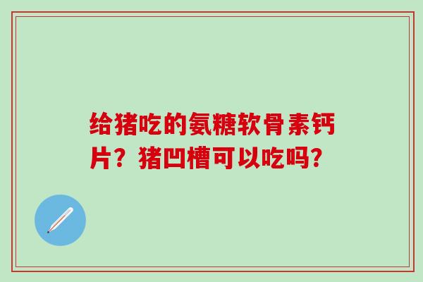给猪吃的氨糖软骨素钙片？猪凹槽可以吃吗？-第1张图片-氨糖科普网