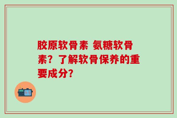 胶原软骨素 氨糖软骨素?了解软骨保养的重要成分?-第1张图片-氨糖科普网 胶原软骨素 氨糖软骨素?了解软骨保养的重要成分?-第1张图片-氨糖科普网