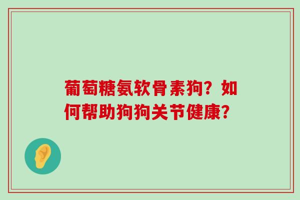 葡萄糖氨软骨素狗？如何帮助狗狗关节健康？-第1张图片-氨糖科普网