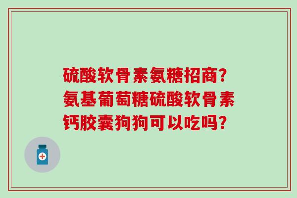 硫酸软骨素氨糖招商?氨基葡萄糖硫酸软骨素钙胶囊狗狗可以吃吗?-第1张图片-氨糖科普网 硫酸软骨素氨糖招商?氨基葡萄糖硫酸软骨素钙胶囊狗狗可以吃吗?-第1张图片-氨糖科普网