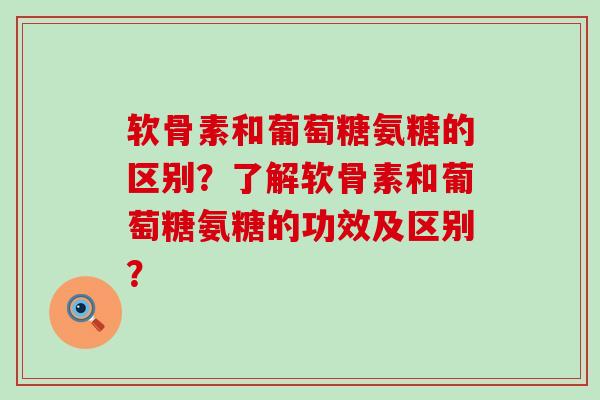 软骨素和葡萄糖氨糖的区别？了解软骨素和葡萄糖氨糖的功效及区别？-第1张图片-氨糖科普网