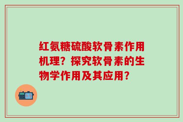 红氨糖硫酸软骨素作用机理？探究软骨素的生物学作用及其应用？-第1张图片-氨糖科普网