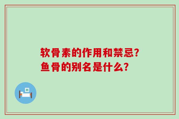 软骨素的作用和禁忌？鱼骨的别名是什么？-第1张图片-氨糖科普网