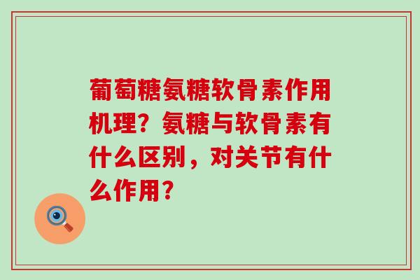 葡萄糖氨糖软骨素作用机理？氨糖与软骨素有什么区别，对关节有什么作用？-第1张图片-氨糖科普网