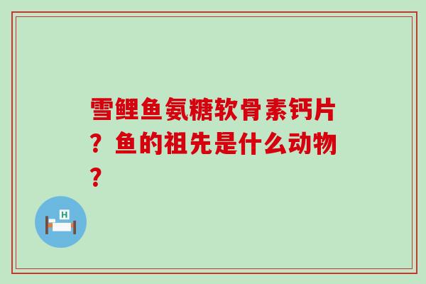 雪鲤鱼氨糖软骨素钙片?鱼的祖先是什么动物?-第1张图片-氨糖科普网 雪鲤鱼氨糖软骨素钙片?鱼的祖先是什么动物?-第1张图片-氨糖科普网