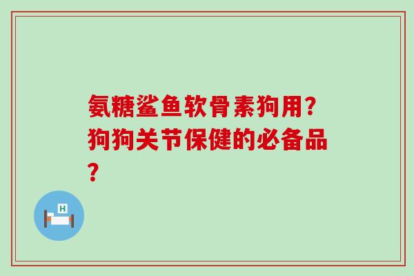 氨糖鲨鱼软骨素狗用？狗狗关节保健的必备品？-第1张图片-氨糖科普网