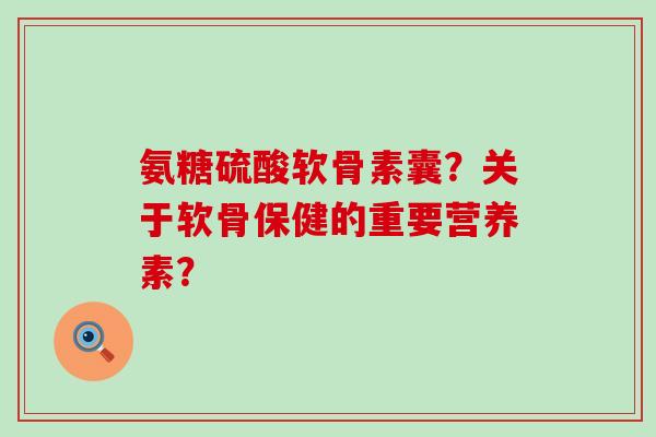 氨糖硫酸软骨素囊?关于软骨保健的重要营养素?-第1张图片-氨糖科普网 氨糖硫酸软骨素囊?关于软骨保健的重要营养素?-第1张图片-氨糖科普网