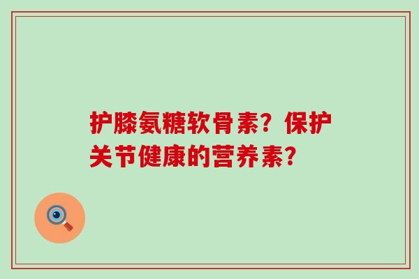 护膝氨糖软骨素?保护关节健康的营养素?-第1张图片-氨糖科普网 护膝氨糖软骨素?保护关节健康的营养素?-第1张图片-氨糖科普网