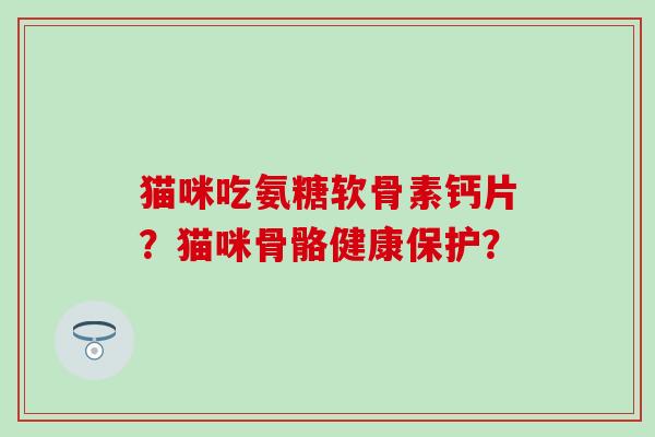 猫咪吃氨糖软骨素钙片？猫咪骨骼健康保护？-第1张图片-氨糖科普网
