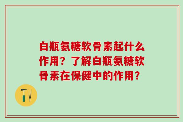 白瓶氨糖软骨素起什么作用？了解白瓶氨糖软骨素在保健中的作用？-第1张图片-氨糖科普网