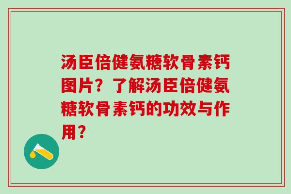 汤臣倍健氨糖软骨素钙图片？了解汤臣倍健氨糖软骨素钙的功效与作用？-第1张图片-氨糖科普网