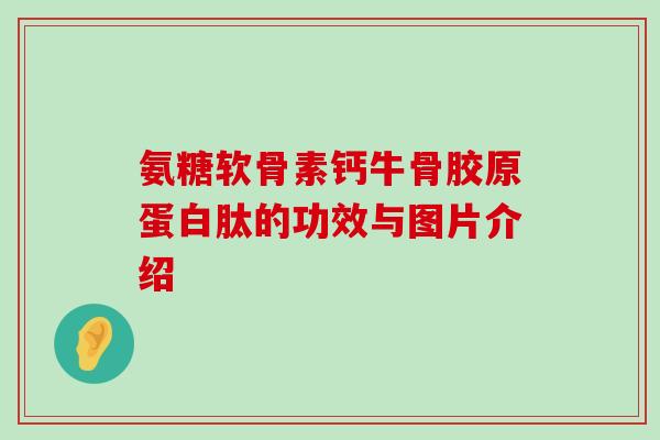 氨糖软骨素钙牛骨胶原蛋白肽的功效与图片介绍-第1张图片-氨糖科普网