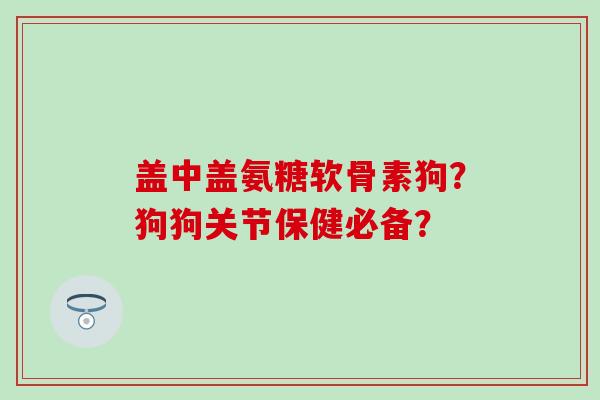 盖中盖氨糖软骨素狗?狗狗关节保健必备?-第1张图片-氨糖科普网 盖中盖氨糖软骨素狗?狗狗关节保健必备?-第1张图片-氨糖科普网