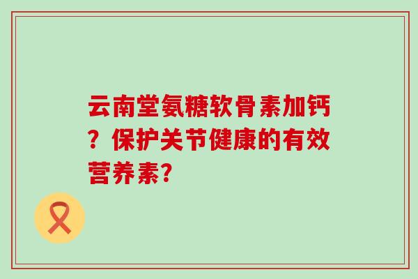 云南堂氨糖软骨素加钙？保护关节健康的有效营养素？-第1张图片-氨糖科普网