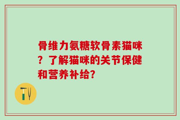 骨维力氨糖软骨素猫咪?了解猫咪的关节保健和营养补给?-第1张图片-氨糖科普网 骨维力氨糖软骨素猫咪?了解猫咪的关节保健和营养补给?-第1张图片-氨糖科普网