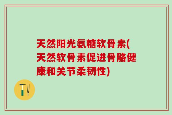 天然阳光氨糖软骨素(天然软骨素促进骨骼健康和关节柔韧性)-第1张图片-氨糖科普网 天然阳光氨糖软骨素(天然软骨素促进骨骼健康和关节柔韧性)-第1张图片-氨糖科普网