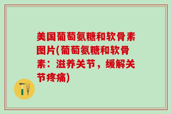 美国葡萄氨糖和软骨素图片(葡萄氨糖和软骨素:滋养关节,缓解关节疼痛)-第1张图片-氨糖科普网 美国葡萄氨糖和软骨素图片(葡萄氨糖和软骨素:滋养关节,缓解关节疼痛)-第1张图片-氨糖科普网