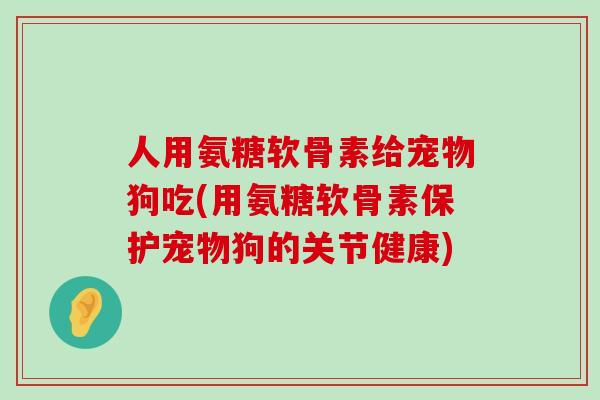 人用氨糖软骨素给宠物狗吃(用氨糖软骨素保护宠物狗的关节健康)-第1张图片-氨糖科普网