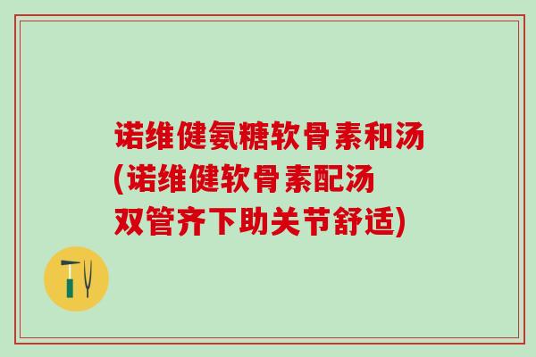 诺维健氨糖软骨素和汤(诺维健软骨素配汤 双管齐下助关节舒适)-第1张图片-氨糖科普网 诺维健氨糖软骨素和汤(诺维健软骨素配汤 双管齐下助关节舒适)-第1张图片-氨糖科普网