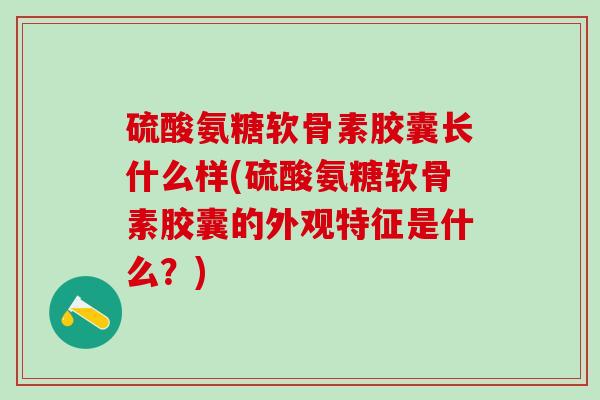 硫酸氨糖软骨素胶囊长什么样(硫酸氨糖软骨素胶囊的外观特征是什么?)-第1张图片-氨糖科普网 硫酸氨糖软骨素胶囊长什么样(硫酸氨糖软骨素胶囊的外观特征是什么?)-第1张图片-氨糖科普网