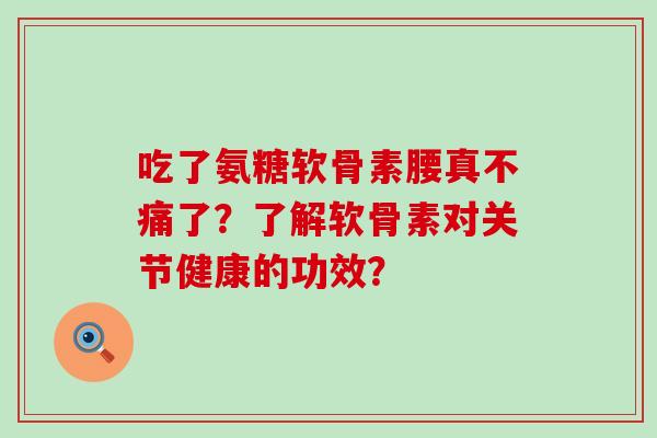 吃了氨糖软骨素腰真不痛了?了解软骨素对关节健康的功效?-第1张图片-氨糖科普网 吃了氨糖软骨素腰真不痛了?了解软骨素对关节健康的功效?-第1张图片-氨糖科普网