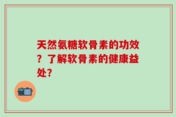 天然氨糖软骨素的功效？了解软骨素的健康益处？-第1张图片-氨糖科普网