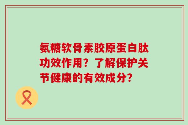 氨糖软骨素胶原蛋白肽功效作用?了解保护关节健康的有效成分?-第1张图片-氨糖科普网 氨糖软骨素胶原蛋白肽功效作用?了解保护关节健康的有效成分?-第1张图片-氨糖科普网