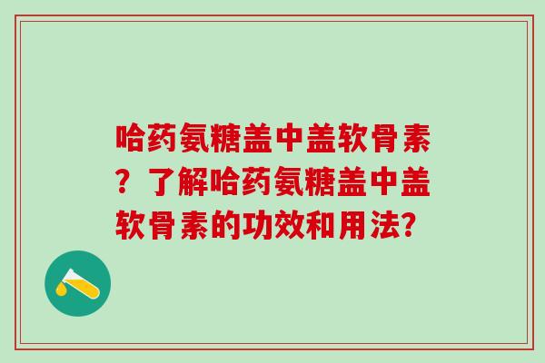哈药氨糖盖中盖软骨素?了解哈药氨糖盖中盖软骨素的功效和用法?-第1张图片-氨糖科普网 哈药氨糖盖中盖软骨素?了解哈药氨糖盖中盖软骨素的功效和用法?-第1张图片-氨糖科普网