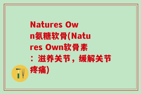 Natures Own氨糖软骨(Natures Own软骨素：滋养关节，缓解关节疼痛)-第1张图片-氨糖科普网