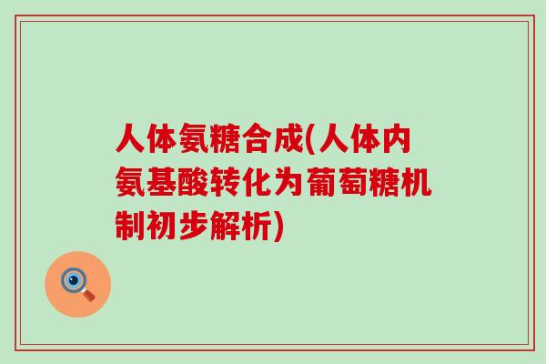 人体氨糖合成(人体内氨基酸转化为葡萄糖机制初步解析)-第1张图片-氨糖科普网