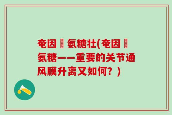 奄因茲氨糖壮(奄因茲氨糖——重要的关节通风膜升离又如何？)-第1张图片-氨糖科普网