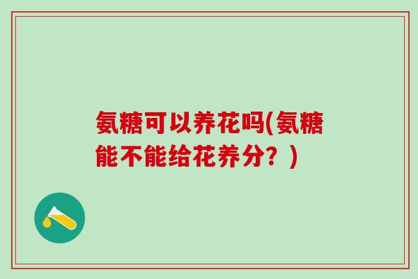 氨糖可以养花吗(氨糖能不能给花养分?)-第1张图片-氨糖科普网 氨糖可以养花吗(氨糖能不能给花养分?)-第1张图片-氨糖科普网