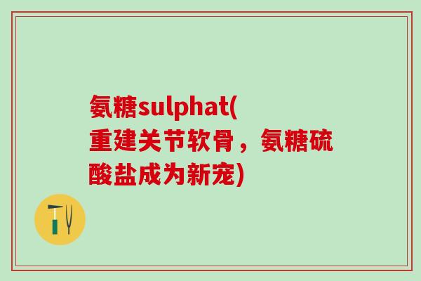 氨糖sulphat(重建关节软骨,氨糖硫酸盐成为新宠)-第1张图片-氨糖科普网 氨糖sulphat(重建关节软骨,氨糖硫酸盐成为新宠)-第1张图片-氨糖科普网