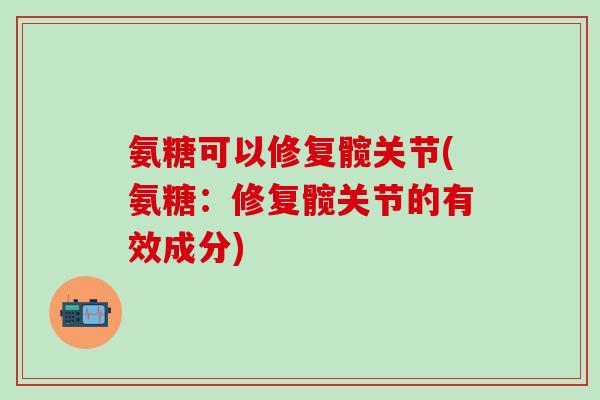 氨糖可以修复髋关节(氨糖：修复髋关节的有效成分)-第1张图片-氨糖科普网