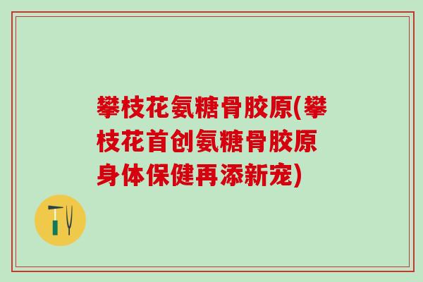 攀枝花氨糖骨胶原(攀枝花首创氨糖骨胶原 身体保健再添新宠)-第1张图片-氨糖科普网 攀枝花氨糖骨胶原(攀枝花首创氨糖骨胶原 身体保健再添新宠)-第1张图片-氨糖科普网