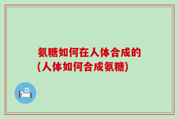 氨糖如何在人体合成的(人体如何合成氨糖)-第1张图片-氨糖科普网