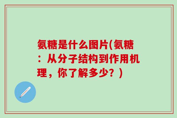 氨糖是什么图片(氨糖:从分子结构到作用机理,你了解多少?)-第1张图片-氨糖科普网 氨糖是什么图片(氨糖:从分子结构到作用机理,你了解多少?)-第1张图片-氨糖科普网