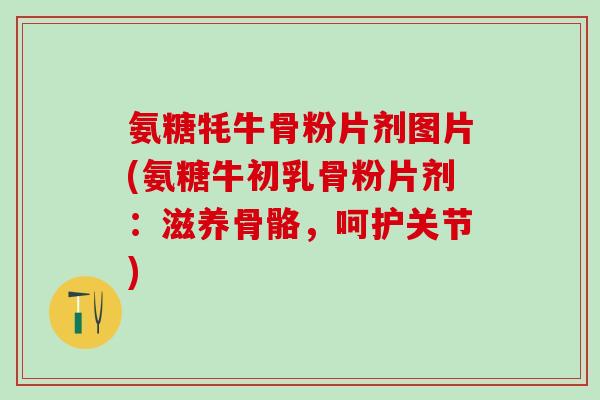 氨糖牦牛骨粉片剂图片(氨糖牛初乳骨粉片剂：滋养骨骼，呵护关节)-第1张图片-氨糖科普网