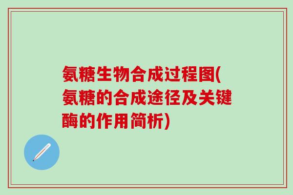 氨糖生物合成过程图(氨糖的合成途径及关键酶的作用简析)-第1张图片-氨糖科普网
