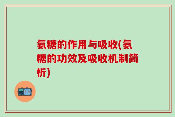 氨糖的作用与吸收(氨糖的功效及吸收机制简析)-第1张图片-氨糖科普网
